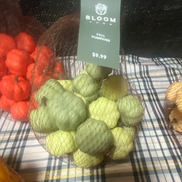 Miniature Fall Pumpkin Gourd Lot - Picture 14 of 14